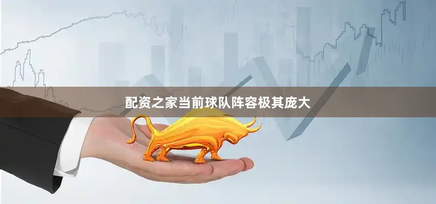 配资之家当前球队阵容极其庞大