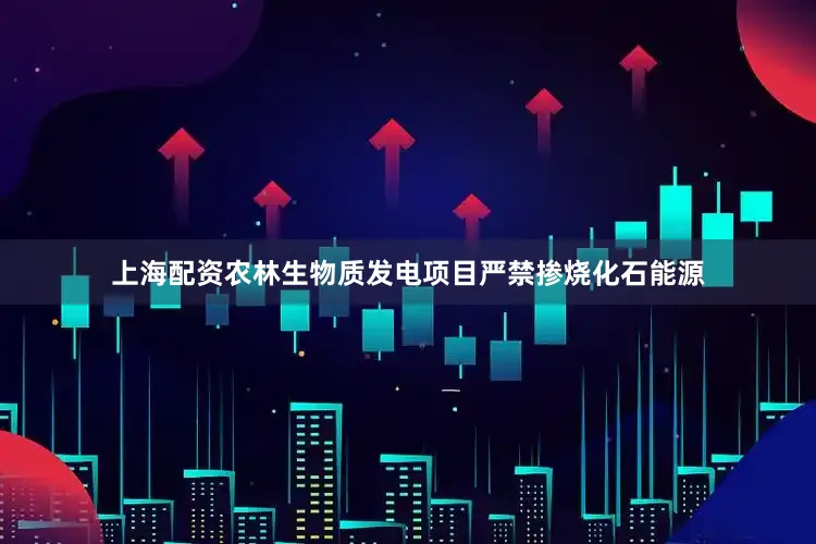 上海配资农林生物质发电项目严禁掺烧化石能源