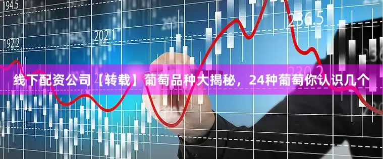 线下配资公司【转载】葡萄品种大揭秘，24种葡萄你认识几个